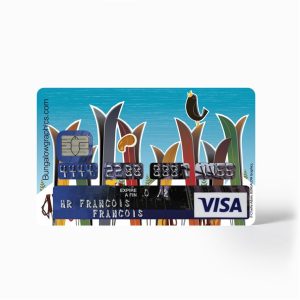 Votre carte bancaire et assurance habitation : une protection suffisante en cas d’accident de ski ?