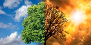 Réchauffement climatique : des zones en France pourraient devenir inassurables pour l&rsquo;habitat